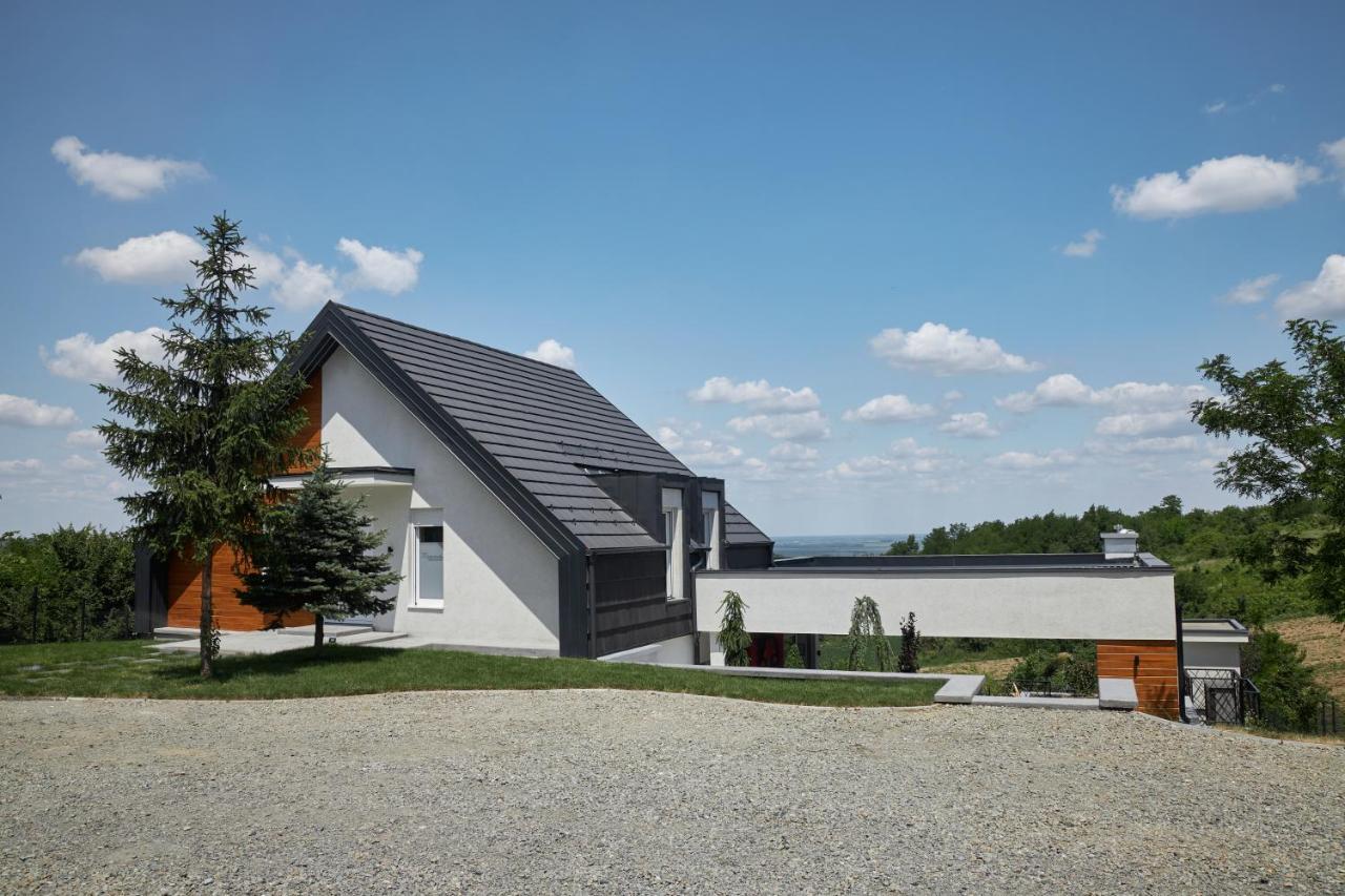 Riverside Pool Villa-Sremski Karlovci Luaran gambar
