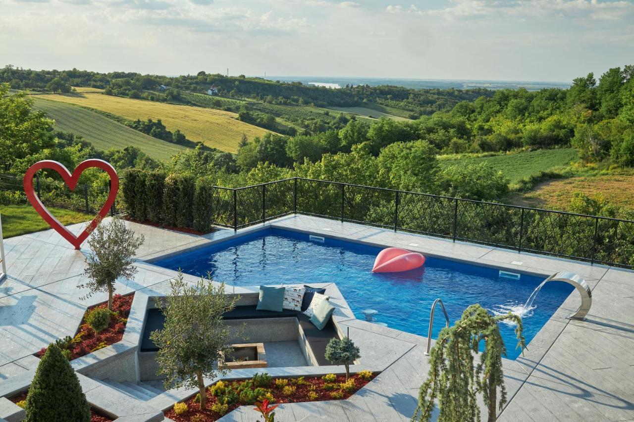 Riverside Pool Villa-Sremski Karlovci Luaran gambar