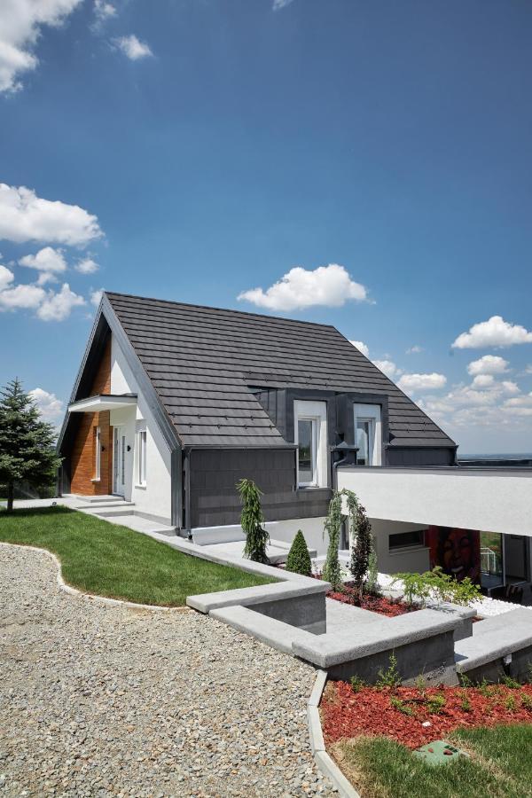 Riverside Pool Villa-Sremski Karlovci Luaran gambar