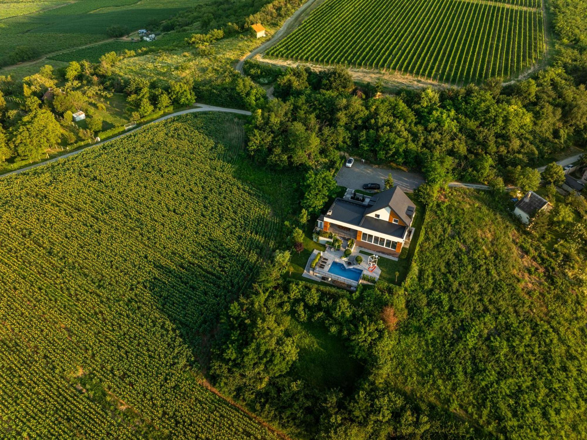 Riverside Pool Villa-Sremski Karlovci Luaran gambar